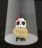 【囧游戏】看你躲得过熊猫吗？熊猫蚊子大作战！