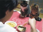 òʱ䵽ˣɰèè