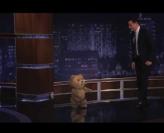 泰迪熊Ted做客Jimmy Kimmel脱口秀！爆笑！